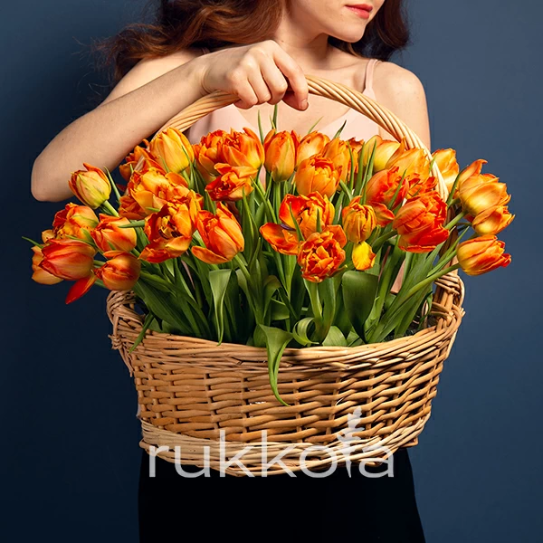51 оранжевый тюльпан в корзинке