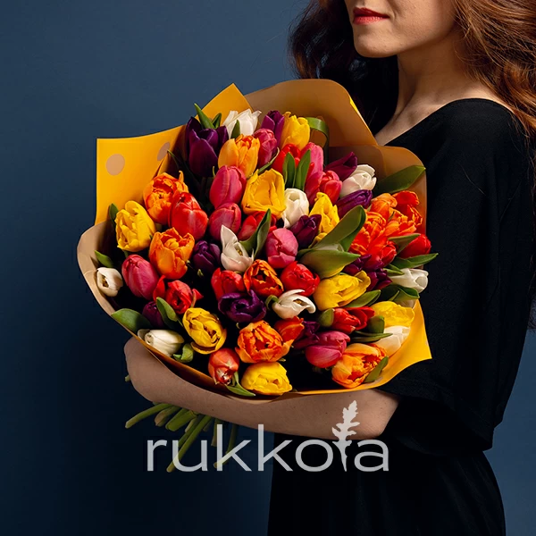 51 разноцветный тюльпан