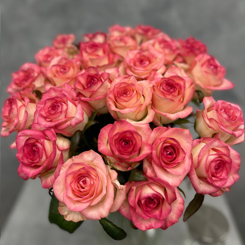 25 премиальных Голландских розовых роз