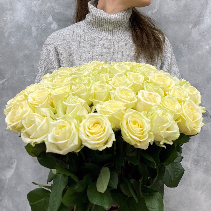 51 премиальная Голландская белая роза