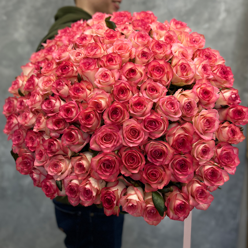 101 премиальная Голландская розовая роза