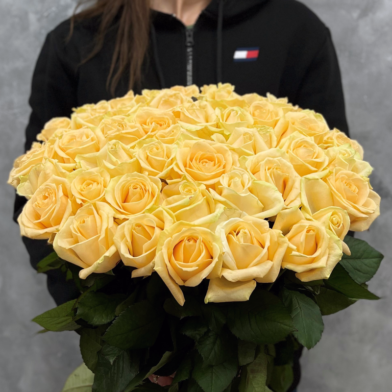 51 премиальная Голландская персиковая роза