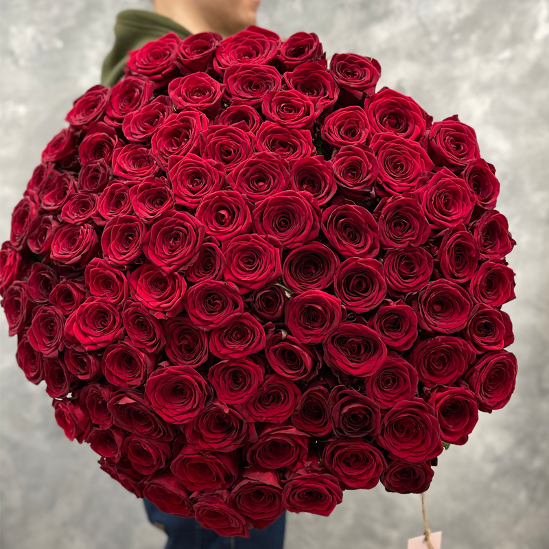 101 премиальная Голландских красная роза