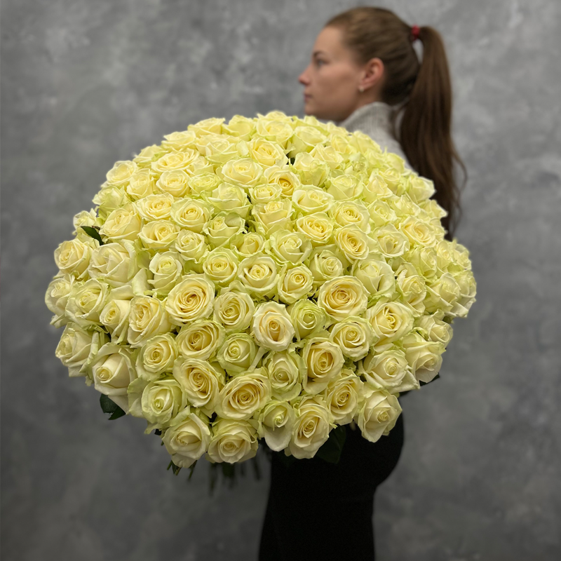 101 премиальная Голландских белая роза