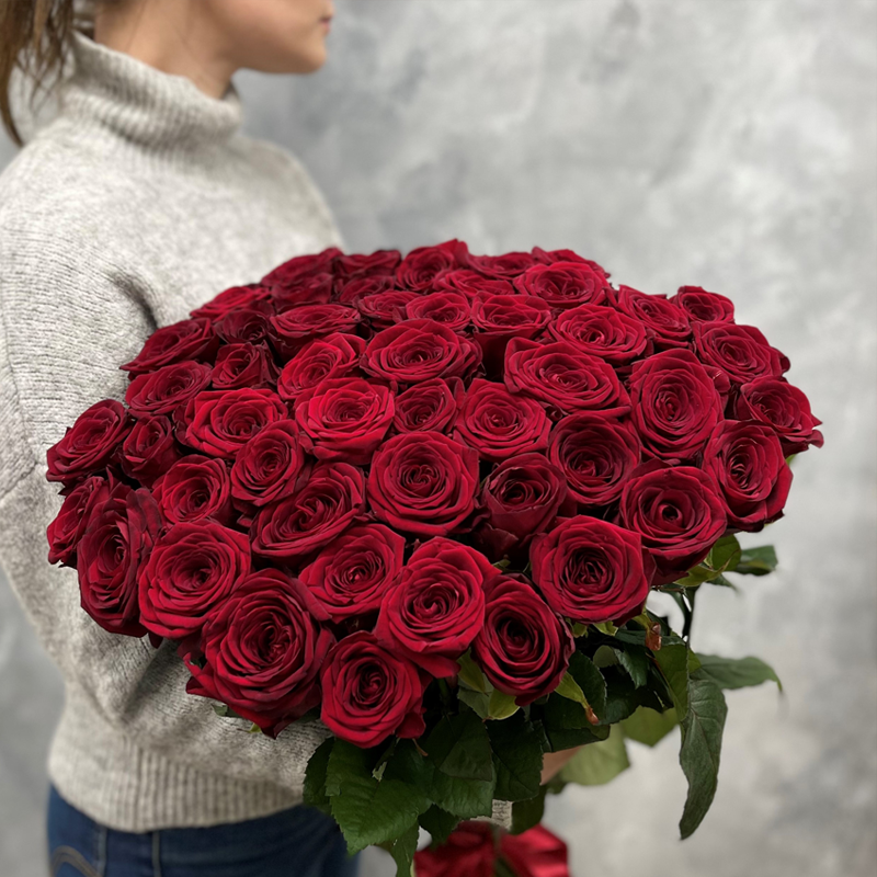 51 премиальная Голландская красная роза
