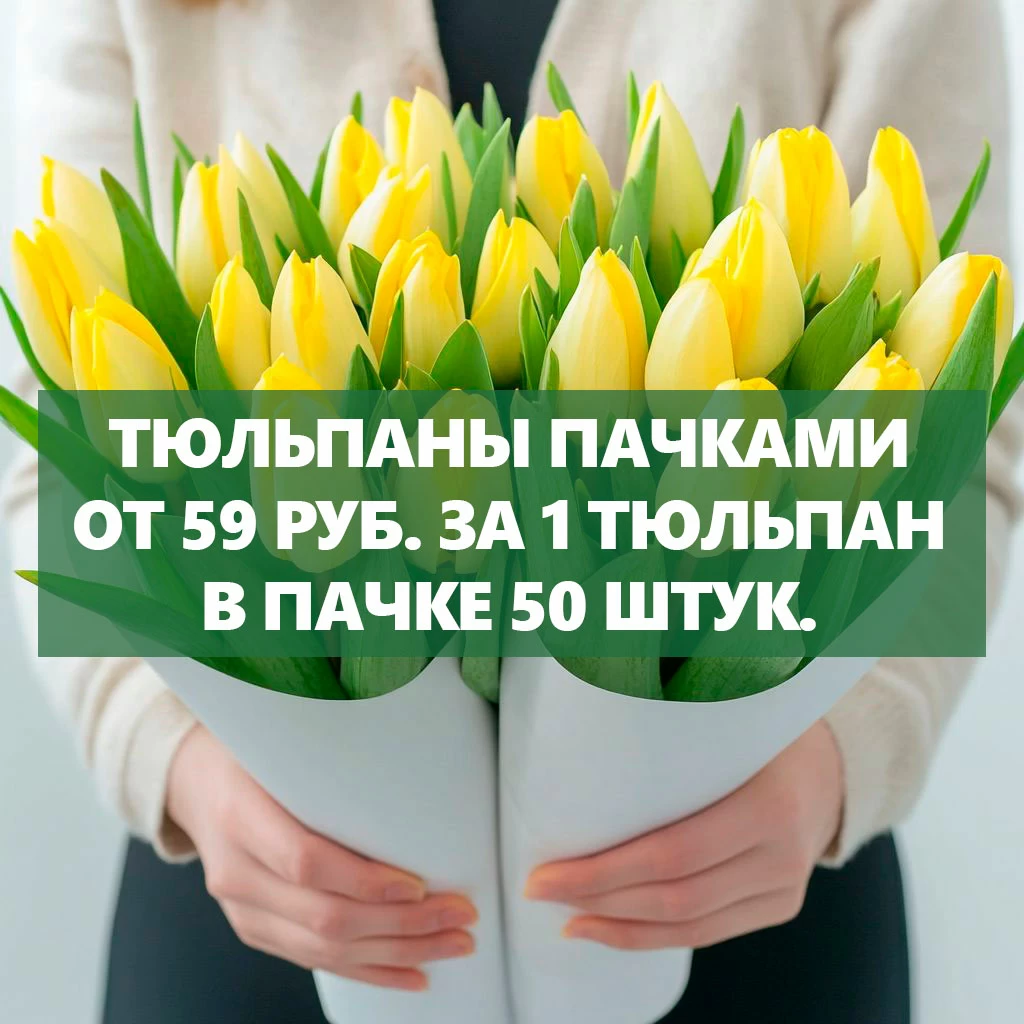 Ограниченное предложение